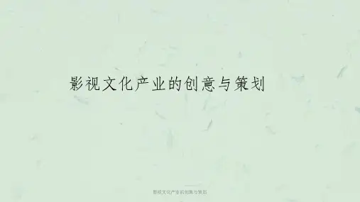 影视文化产业的创意与策划课件