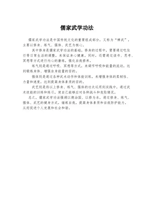 儒家武学功法