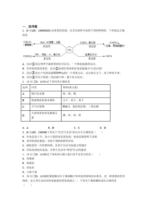 新人教版初中化学九年级上册第十二单元《化学与生活》检测卷(答案解析)(1)