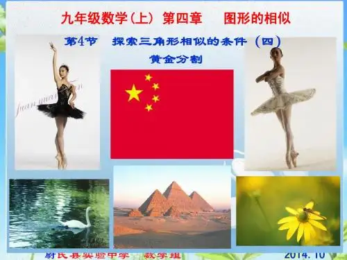 4.4.4九年级数学上册第四章第四节探索三角形相似的条件4黄金分割-新北师大版