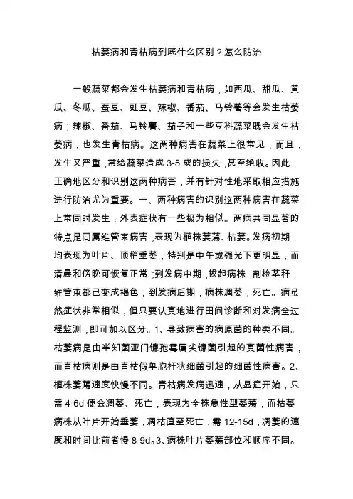 枯萎病和青枯病到底什么区别？怎么防治