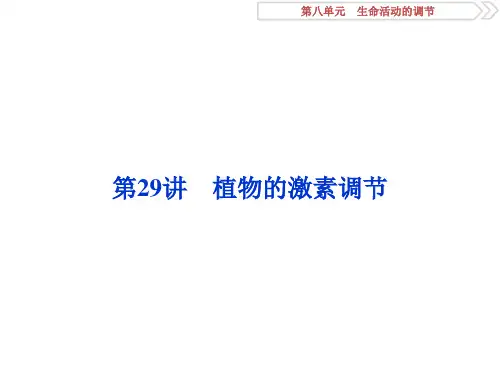 2019届 一轮复习人教版 植物的激素调节 课件