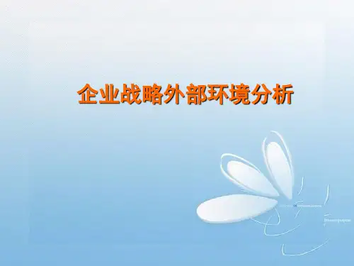 企业战略管理外部环境分析课件(ppt文档)