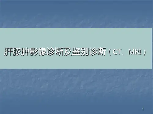 肝脓肿影像诊断及鉴别诊断ppt课件