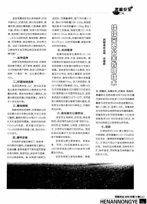 娃娃菜无公害栽培技术