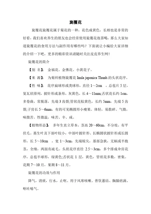 旋覆花的药用价值