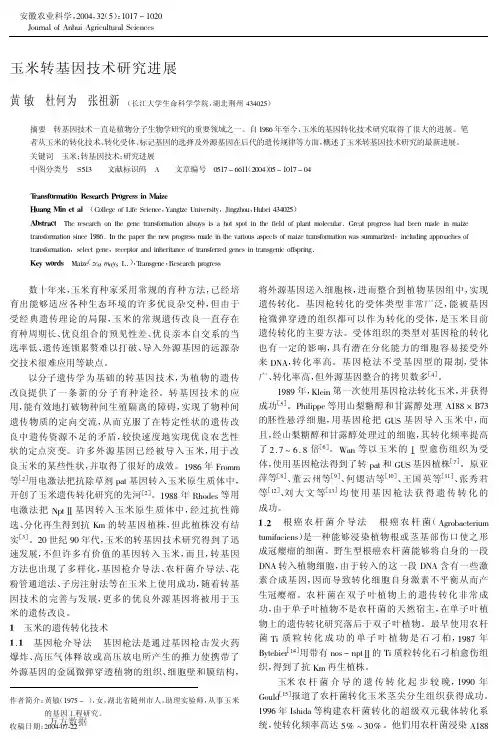 玉米转基因技术研究进展