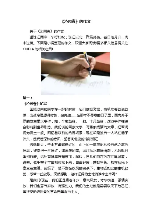 《沁园春》的作文
