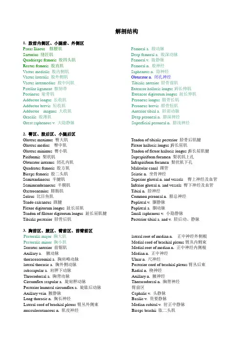局解     中英文结构