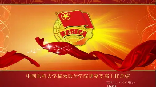 超值推荐优秀的团干部ppt模板