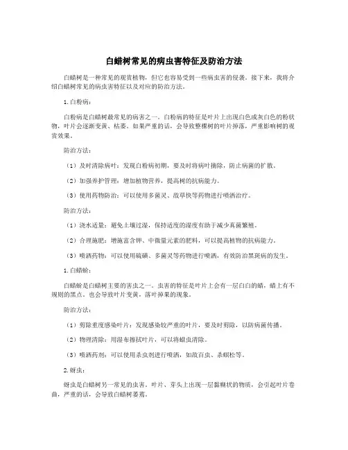 白蜡树常见的病虫害特征及防治方法