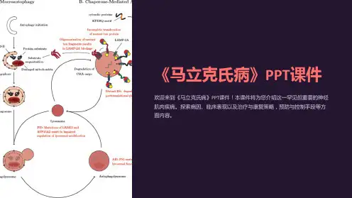 《马立克氏病》课件