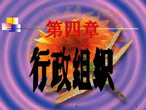 《行政组织》PPT课件