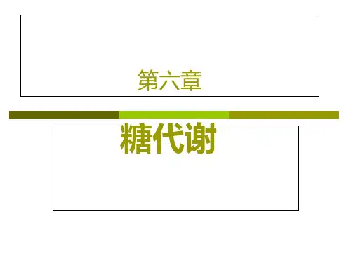 生物化学糖代谢PPT课件