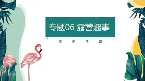 专题06 完形填空(露营趣事) -备战高考英语母题题源解密(新高考)