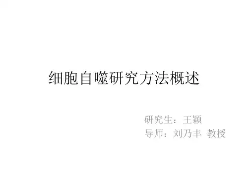 自噬_检测指南