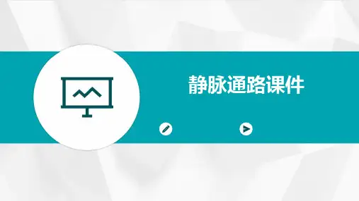 静脉通路课件ppt