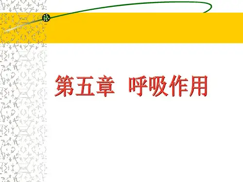 呼吸作用(精)
