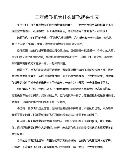 二年级飞机为什么能飞起来作文 2