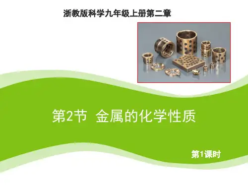 浙教版九年级上册科学-2