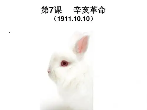 岳麓版八年级历史上册《辛亥革命》简明课件
