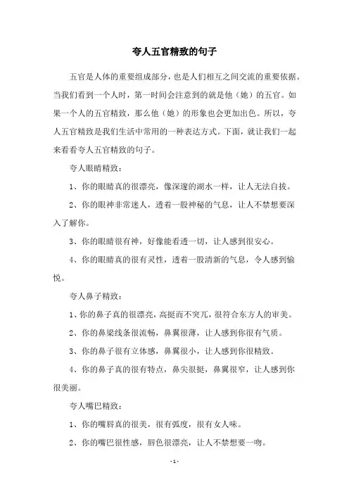 夸人五官精致的句子