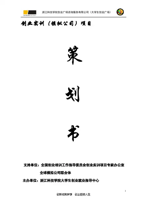 全球模拟公司策划书