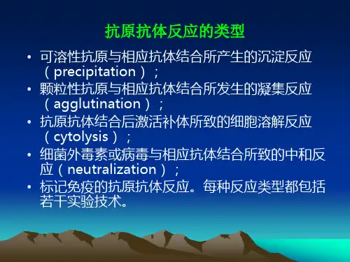 抗原抗体反应的类型 PPT课件