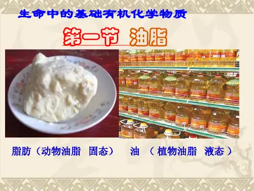 高中化学复习  油脂-
