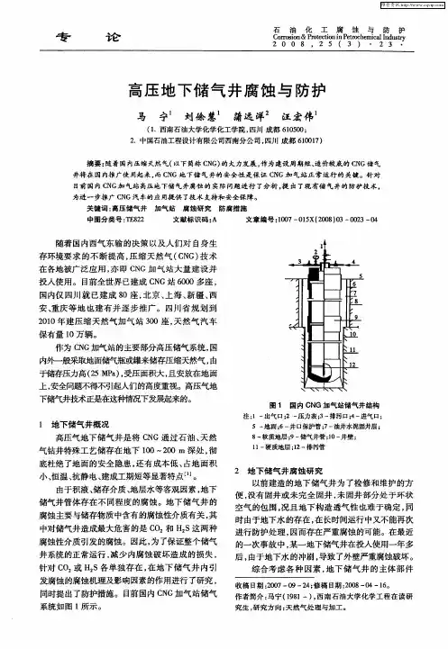 高压地下储气井腐蚀与防护