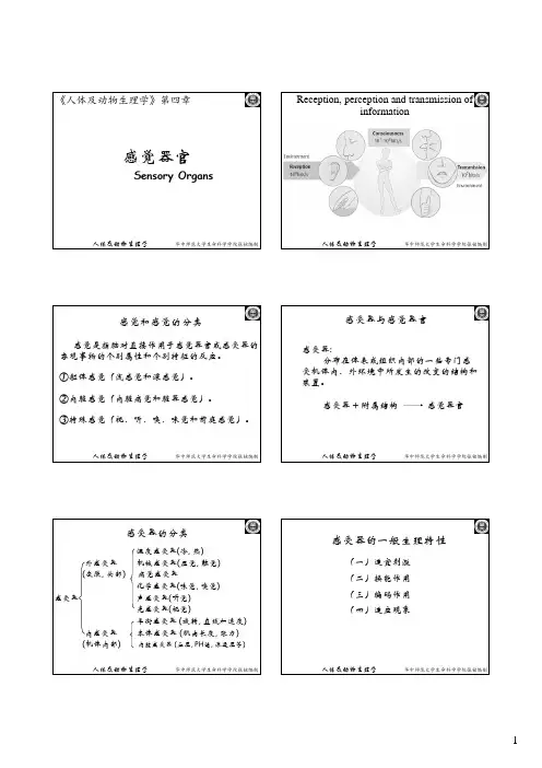 04人体及动物生理学_感觉器官