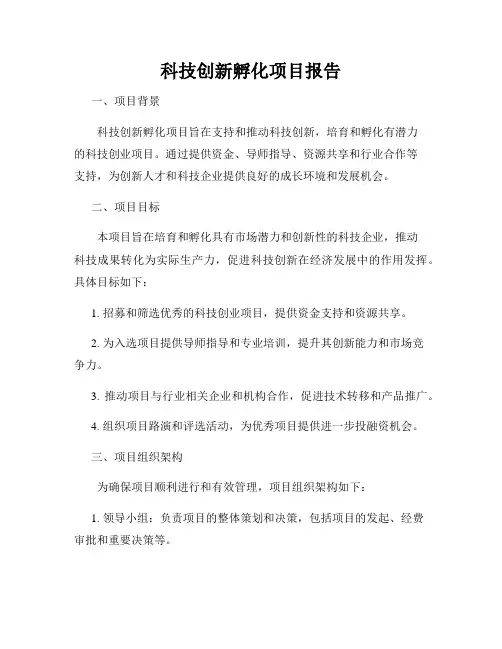 科技创新孵化项目报告