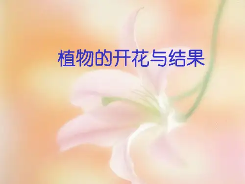 苏教课标版初中生物七年级上册第三单元第五章第五节 植物的开花和结果(共47张PPT)