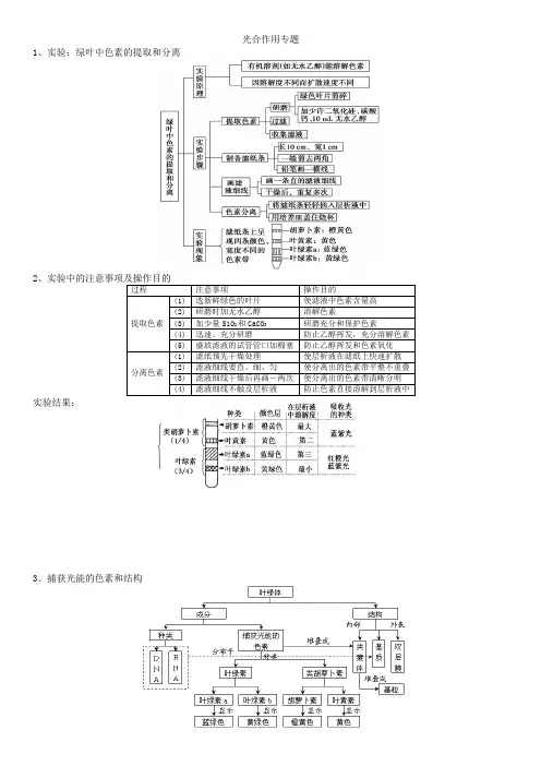 光合作用复习专题