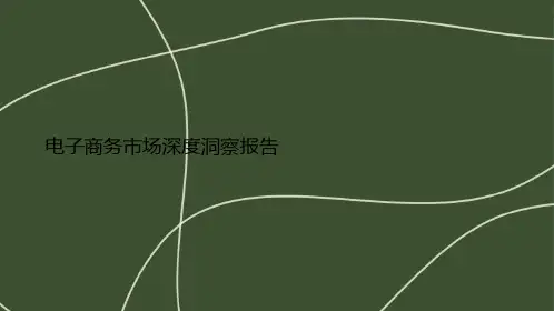 电子商务市场深度洞察报告