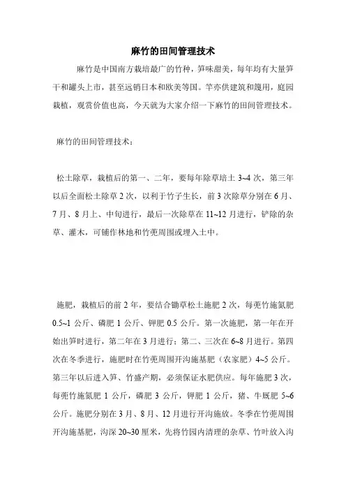 麻竹的田间管理技术.doc