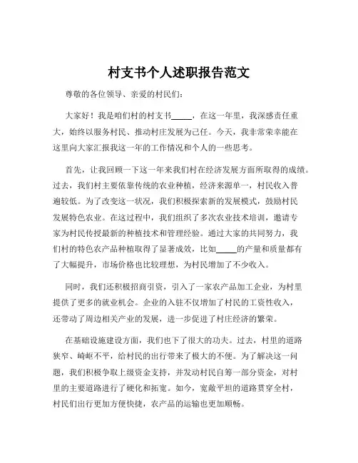 村支书个人述职报告范文