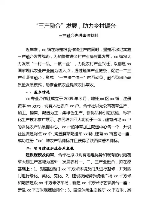 “三产融合”发展,助力乡村振兴(先进经验材料)