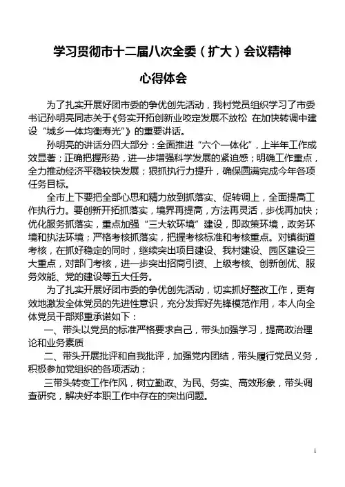 十二届八次全委心得体会