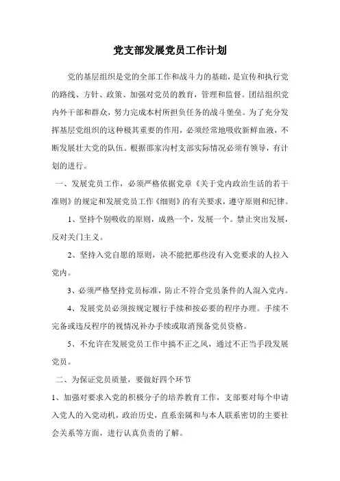 党支部发展党员工作计划 2