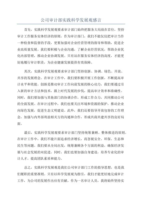 公司审计部实践科学发展观感言