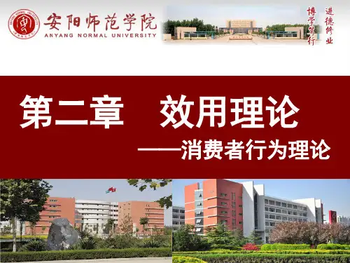 消费者行为理论课件PPT课件