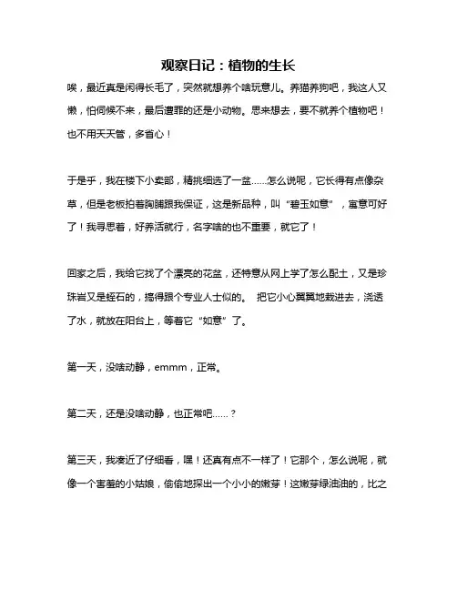 作文《观察日记：植物的生长》