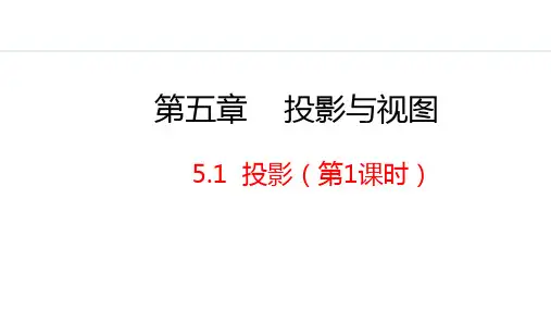 北师大版九年级数学上册投影第1课时课件