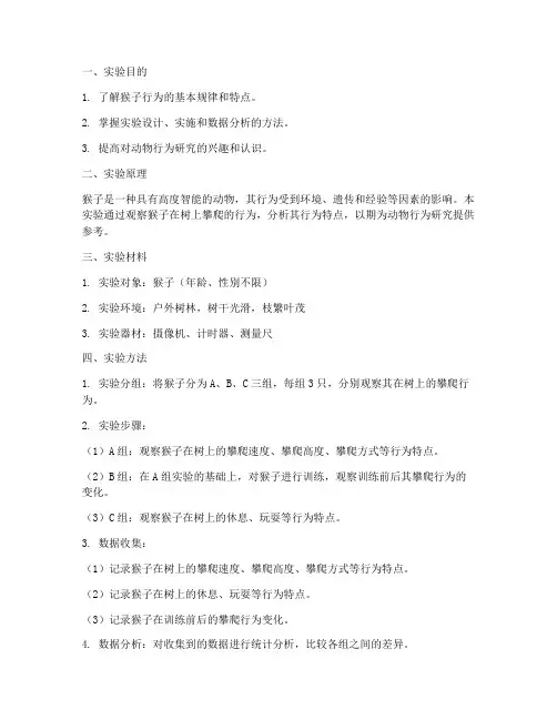 猴子上树的实验报告
