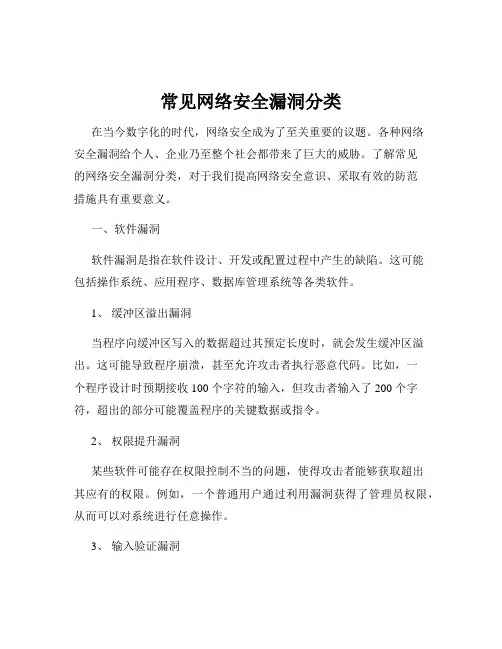 常见网络安全漏洞分类