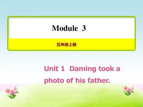 新外研版五年级英语上册Module 3 Unit 2 Daming took a photo of his father【创新课件】