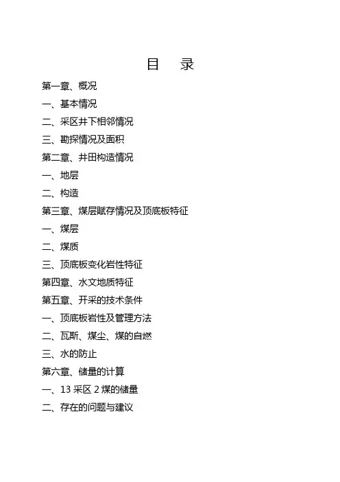 伍家冲井13采区2煤地质说明书