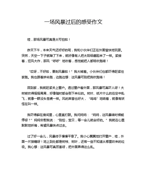 一场风暴过后的感受作文
