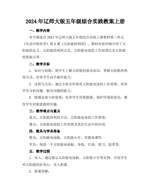 2024年辽师大版五年级综合实践教案上册
